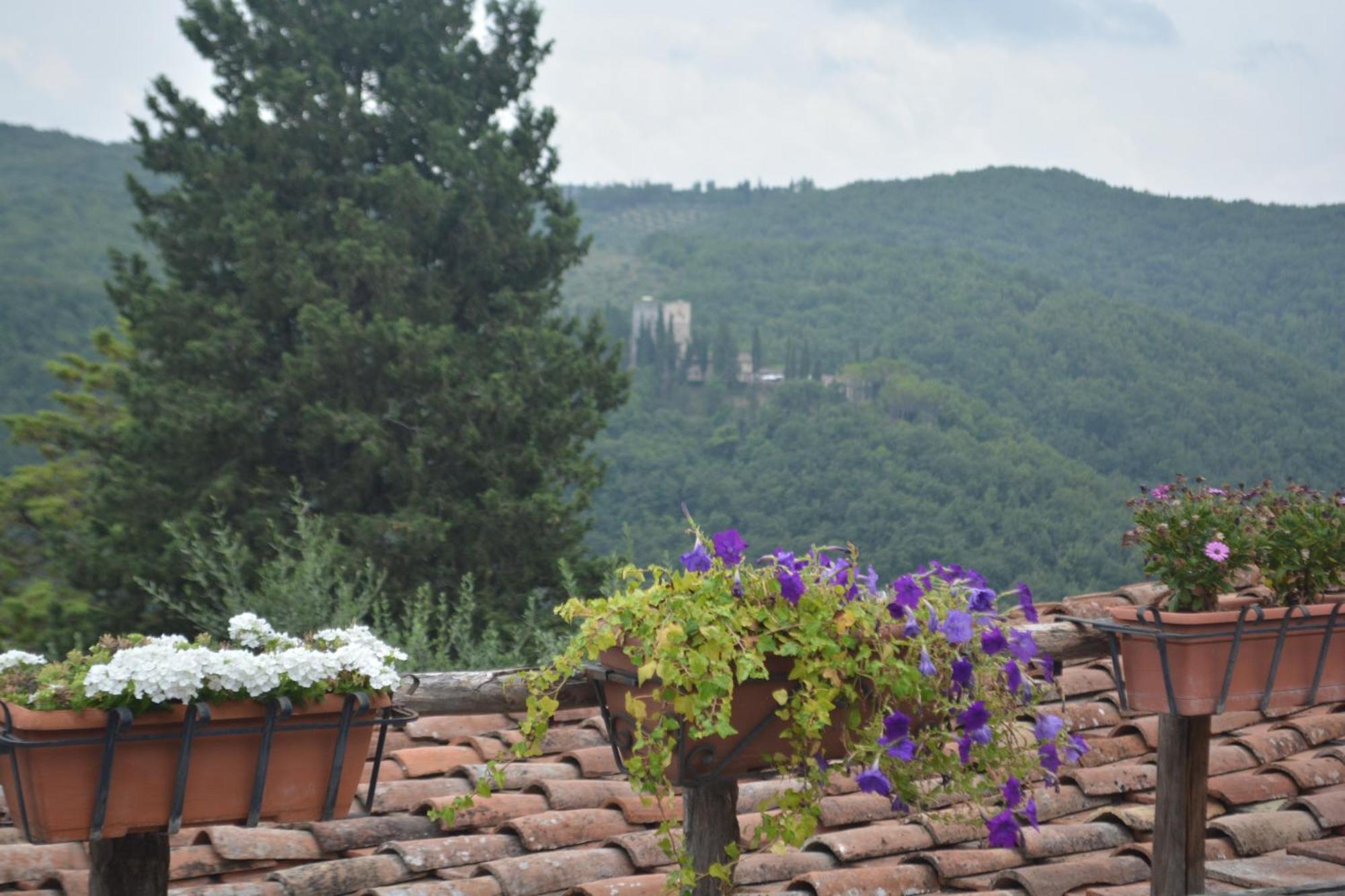 Вилла Celle Di Lecchi Nel Chianti San Sano Экстерьер фото